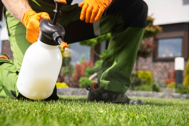 Best Pest Control Cost  in Landover Hills, MD