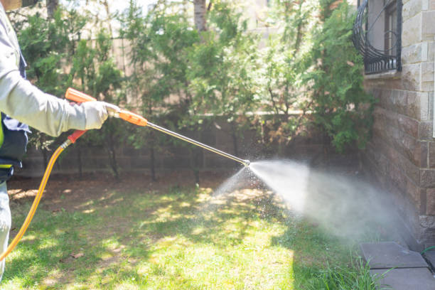 Best Local Pest Control Services  in Landover Hills, MD