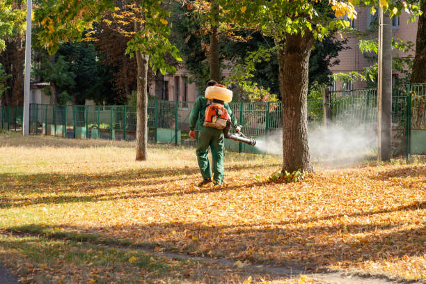 Best Insect Control  in Landover Hills, MD