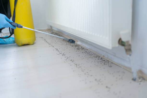 Landover Hills, MD Pest Control Company