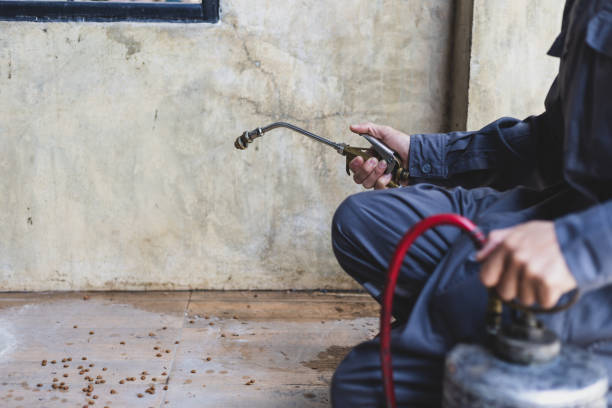 Best Rat Extermination Near Me  in Landover Hills, MD